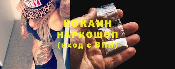 прущие грибы Абаза