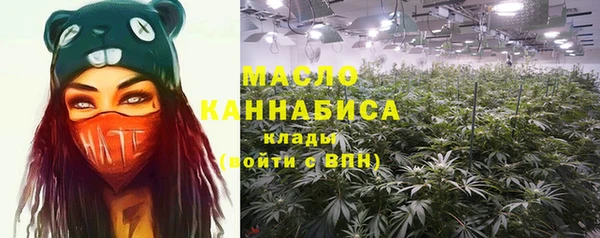 сатива Алзамай