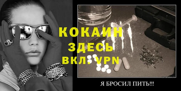прущие грибы Абаза