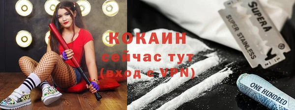прущие грибы Абаза